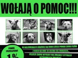 Przekaż 1% swojego podatku Fundacji Medor