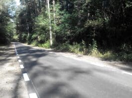Fot. Michał Kowalski