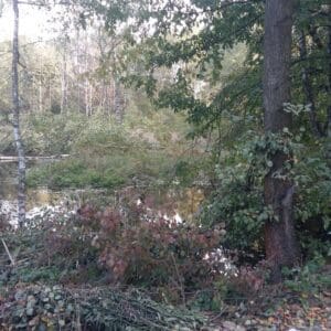 20151011_151410