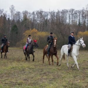 006-hubertus2015s