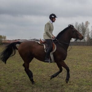 017-hubertus2015s