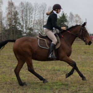 018-hubertus2015s