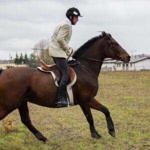 019-hubertus2015s