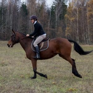 022-hubertus2015s