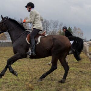 033-hubertus2015s