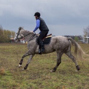 034-hubertus2015s