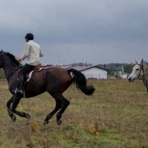 035-hubertus2015s