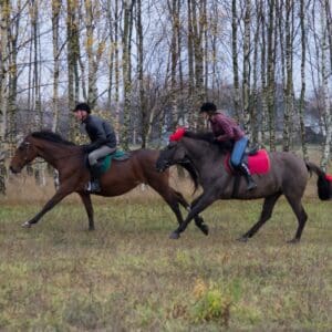 056-hubertus2015s