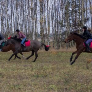 057-hubertus2015s
