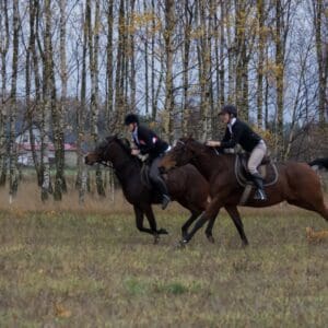 061-hubertus2015s