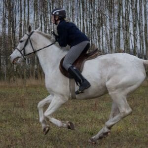 063-hubertus2015s