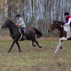 065-hubertus2015s