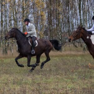 066-hubertus2015s