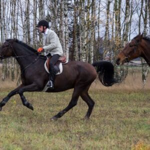 067-hubertus2015s