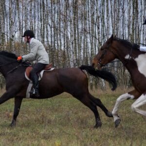 068-hubertus2015s