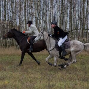 071-hubertus2015s