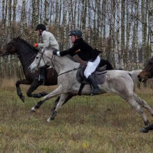 072-hubertus2015s