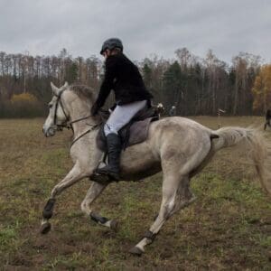 077-hubertus2015s