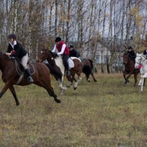 078-hubertus2015s
