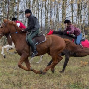 079-hubertus2015s