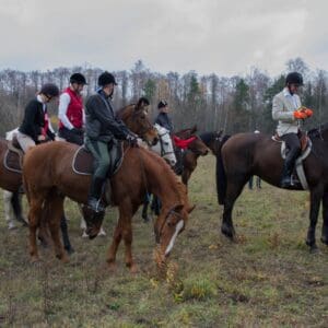 082-hubertus2015s