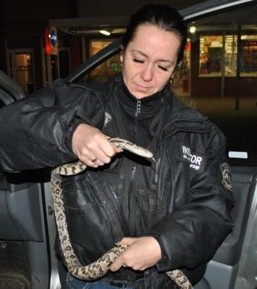 Wąż zbożowy w studni przy Działkowej / fot. facebook.com/Patrol-interwencyjny-As-242670909206299/