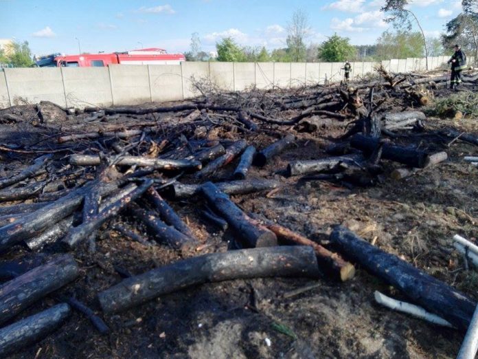 Pożar gałęzi i poszycia leśnego przy Konstytucji 3-go Maja / fot. OSP w Ozorkowie