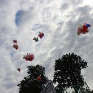 IMG_0367-Copy