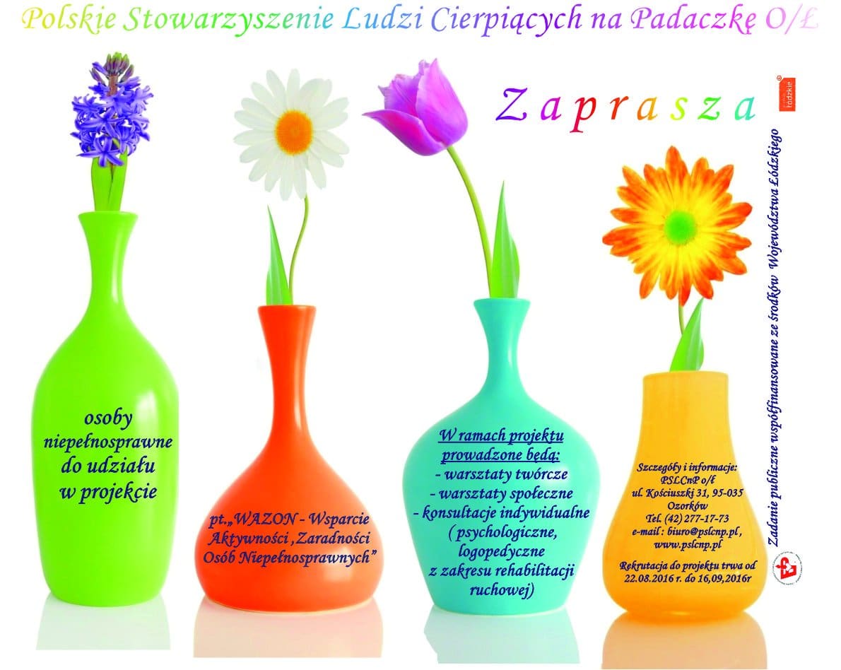 WAZON DO GAZETY DLA ILONKI2 WAZON - Wsparcie aktywności, zaradności osób niepełnosprawnych