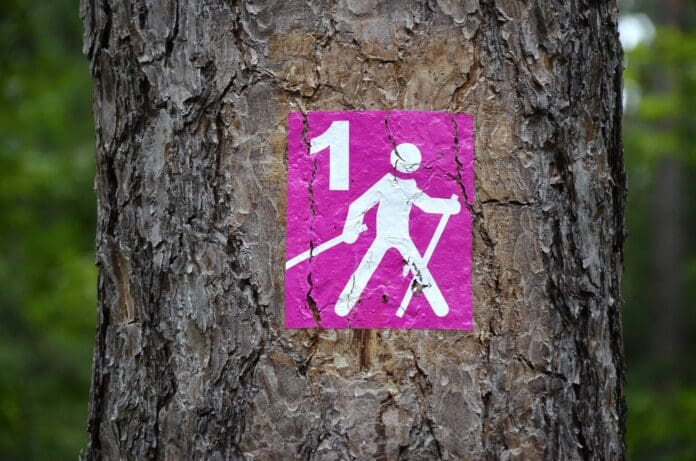 nordic_walking_znak_drzewo_szlak Nordic Walking