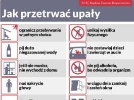 Jak przetrwać upały