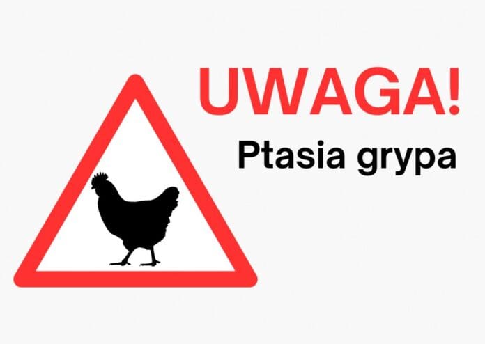 Uwaga, ognisko ptasiej grypy na terenie gminy Ozorków!!!  Powiatowy Lekarz Weter...