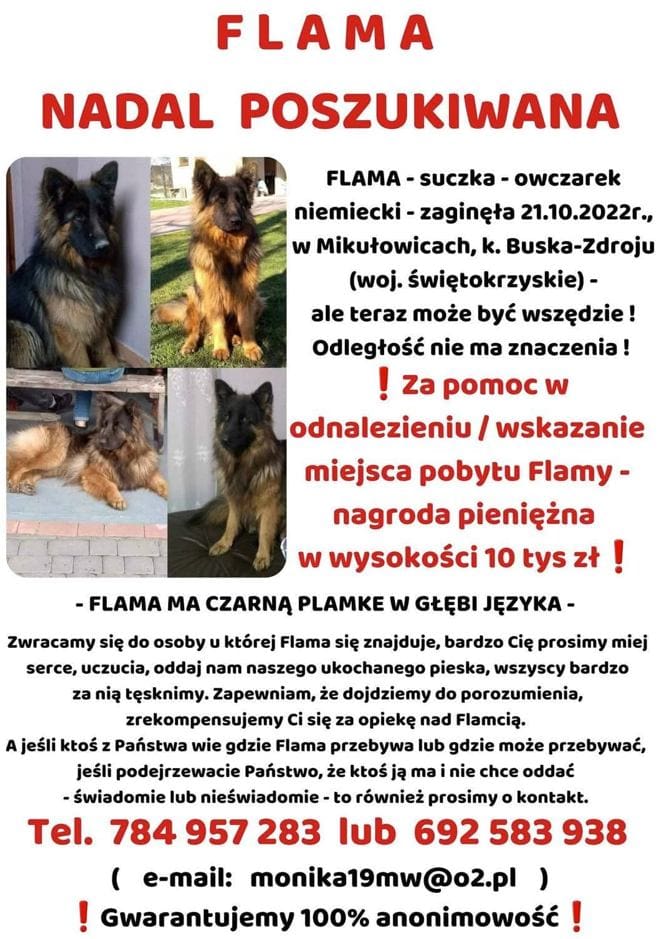 Ogłoszenie