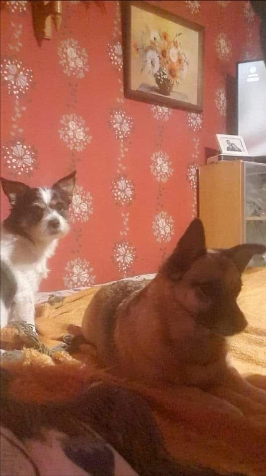 Obrazek z wydarzenia