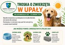 Jak dbać o zwierzęta w czasie upałów w Ozorkowie i Gminie Ozorków Upały to wyzwanie również dla zwierząt. Pamiętajmy o naszych czworonożnych i skrzydlatych przyjaciołach