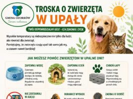 Upały to wyzwanie również dla zwierząt. Pamiętajmy o naszych czworonożnych i skrzydlatych przyjaciołach